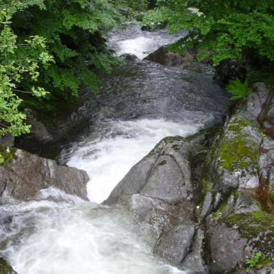 Ruisseau du Quioulès
